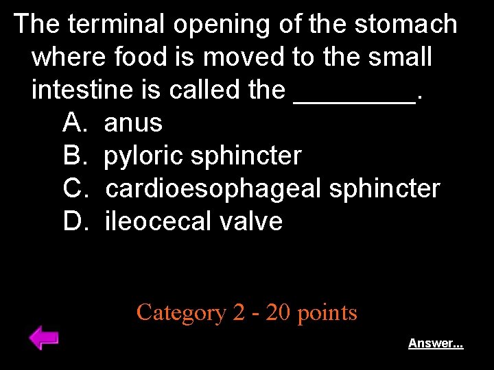 The terminal opening of the stomach where food is moved to the small intestine