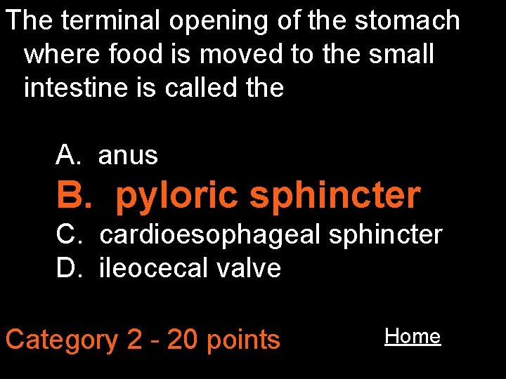 The terminal opening of the stomach where food is moved to the small intestine