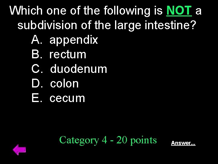 Which one of the following is NOT a subdivision of the large intestine? A.