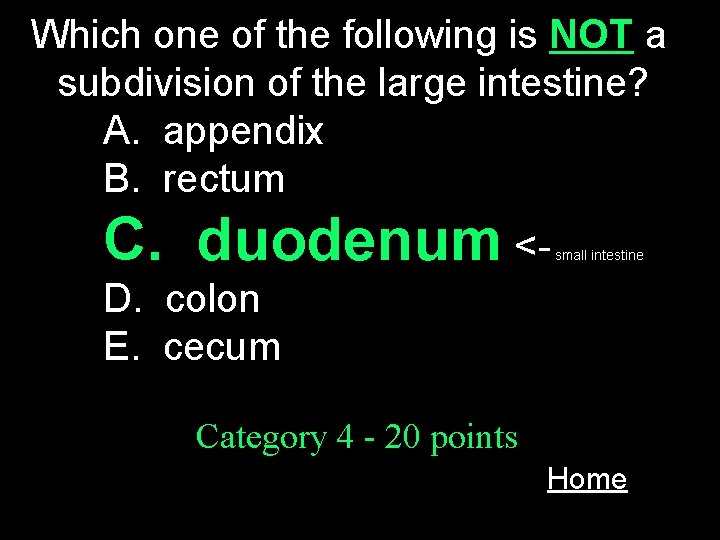 Which one of the following is NOT a subdivision of the large intestine? A.