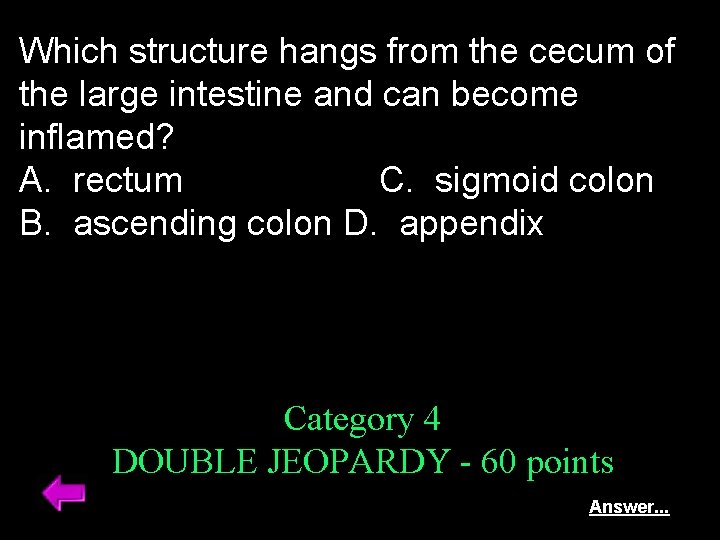 Which structure hangs from the cecum of the large intestine and can become inflamed?