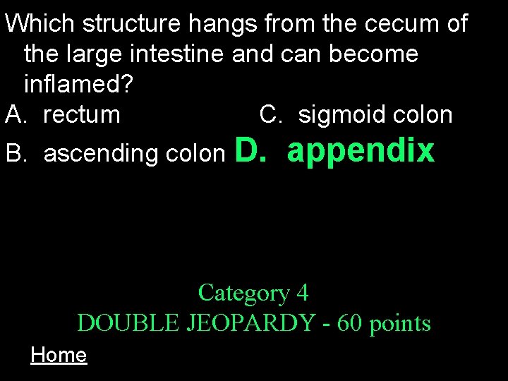 Which structure hangs from the cecum of the large intestine and can become inflamed?