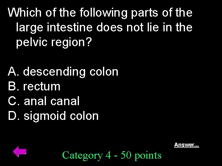 Which of the following parts of the large intestine does not lie in the