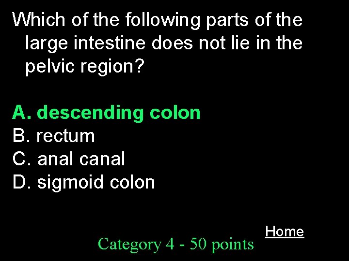 Which of the following parts of the large intestine does not lie in the