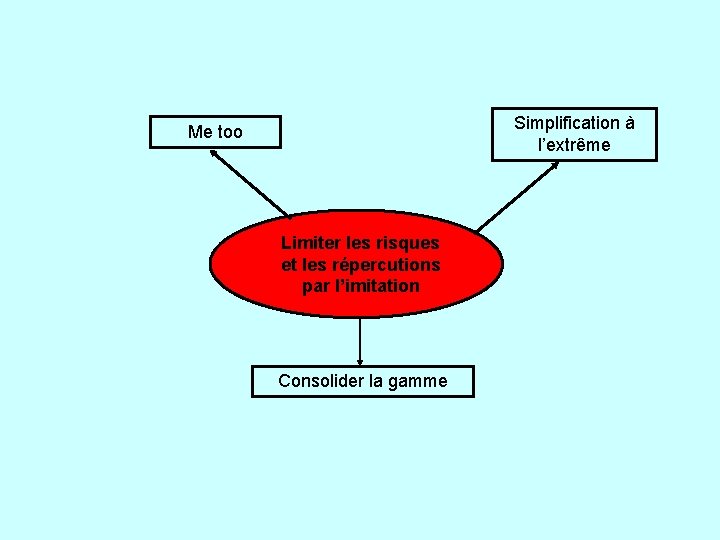 Simplification à l’extrême Me too Limiter les risques et les répercutions par l’imitation Consolider