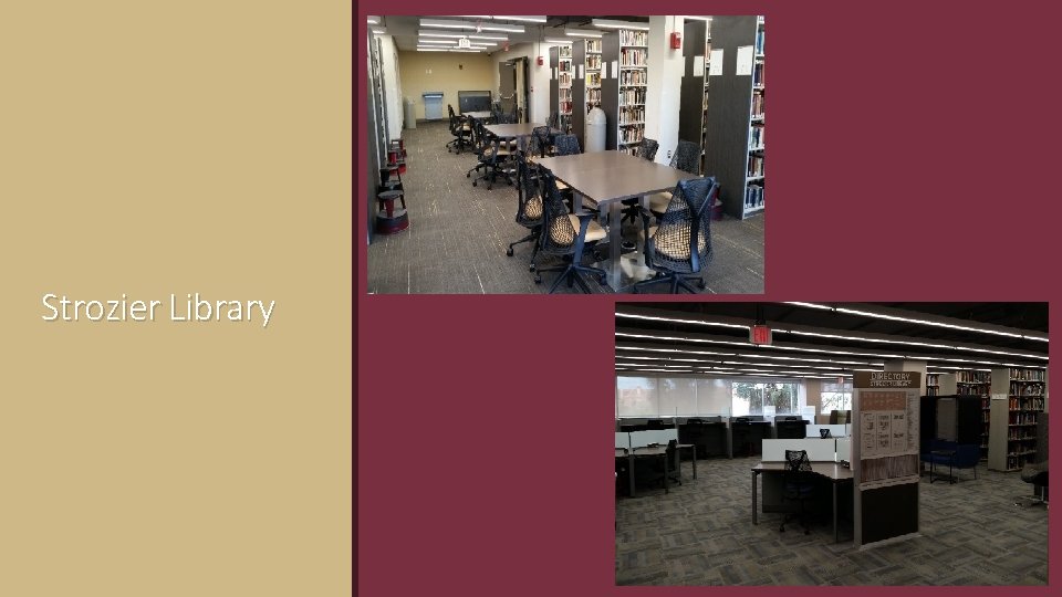 Strozier Library 32 