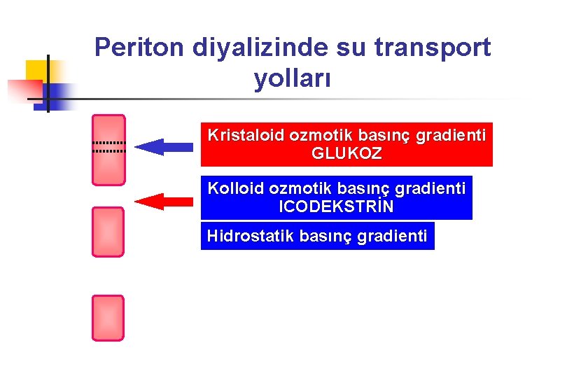 Periton diyalizinde su transport yolları Kristaloid ozmotik basınç gradienti GLUKOZ Kolloid ozmotik basınç gradienti