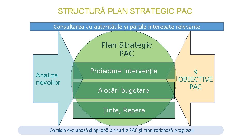 STRUCTURĂ PLAN STRATEGIC PAC Consultarea cu autoritățile și părțile interesate relevante Plan Strategic PAC