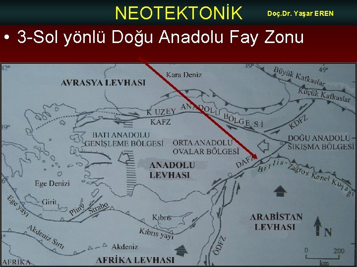NEOTEKTONİK • 3 -Sol yönlü Doğu Anadolu Fay Zonu Doç. Dr. Yaşar EREN 