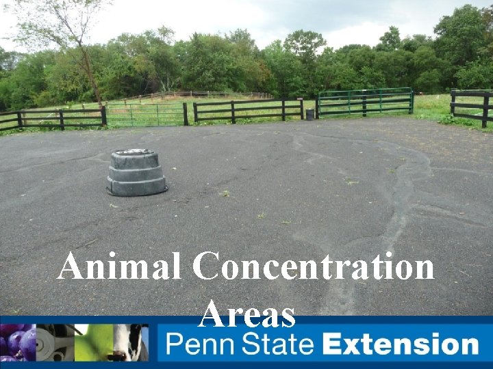 Animal Concentration Areas 