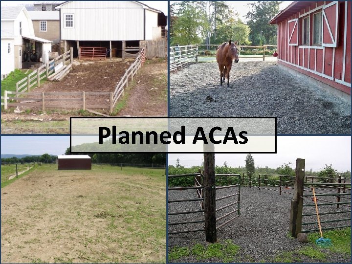 Planned ACAs 