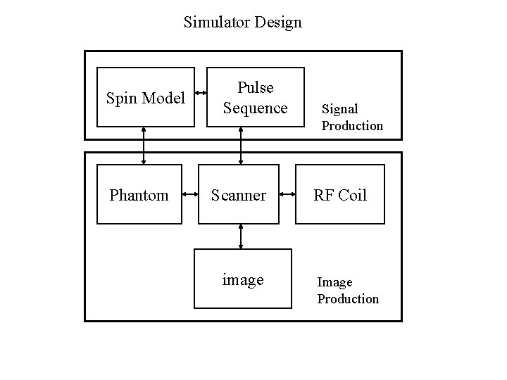 Simulator Design Spin Model Phantom Pulse Sequence Scanner image Signal Production RF Coil Image