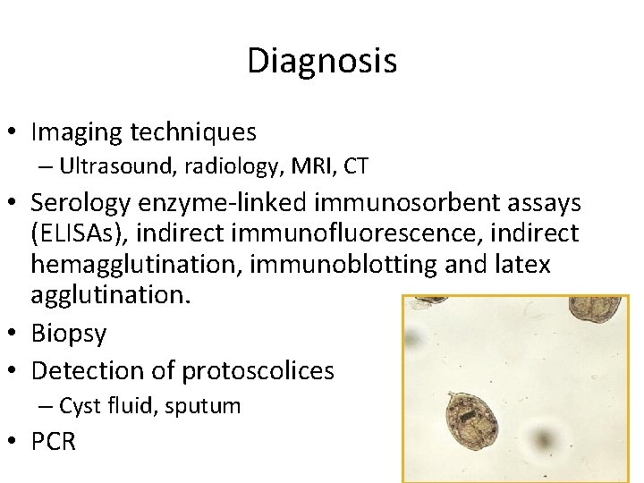 Diagnosis • Imaging techniques – Ultrasound, radiology, MRI, CT • Serology enzyme-linked immunosorbent assays