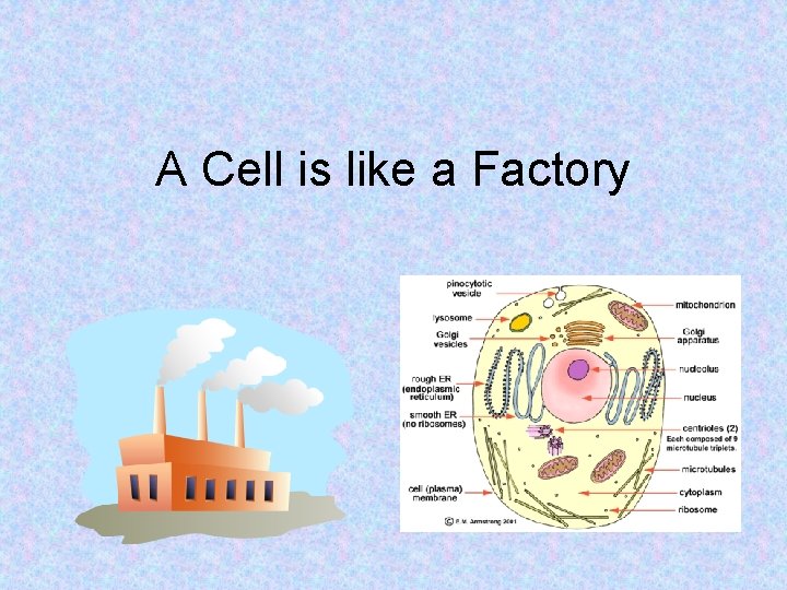 A Cell is like a Factory A Cell is like a Factory