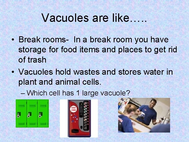 Vacuoles are like…. . • Break rooms- In a break room you have storage Vacuoles are like…. . • Break rooms- In a break room you have storage