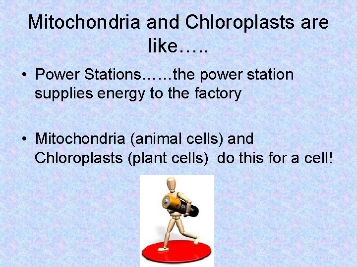Mitochondria and Chloroplasts are like…. . • Power Stations……the power station supplies energy to Mitochondria and Chloroplasts are like…. . • Power Stations……the power station supplies energy to