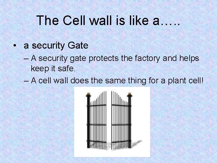 The Cell wall is like a…. . • a security Gate – A security The Cell wall is like a…. . • a security Gate – A security