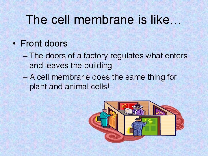 The cell membrane is like… • Front doors – The doors of a factory The cell membrane is like… • Front doors – The doors of a factory