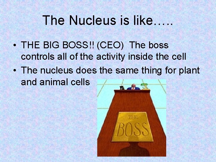 The Nucleus is like…. . • THE BIG BOSS!! (CEO) The boss controls all The Nucleus is like…. . • THE BIG BOSS!! (CEO) The boss controls all