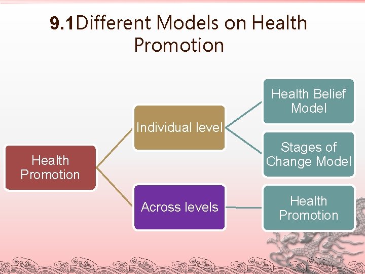 9. 1 Different Models on Health Promotion Health Belief Model Individual level Stages of