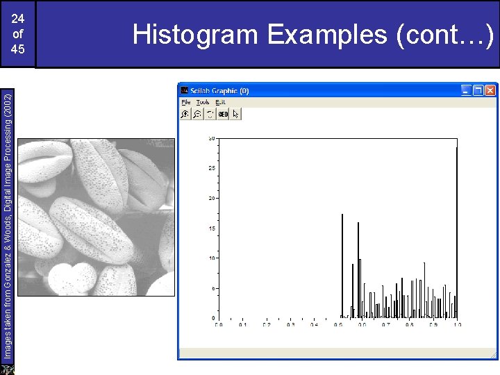 Images taken from Gonzalez & Woods, Digital Image Processing (2002) 24 of 45 Histogram