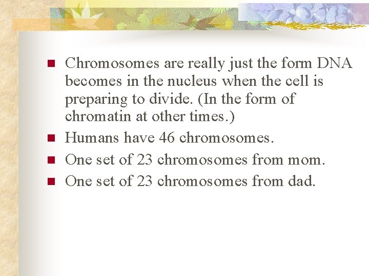 n n Chromosomes are really just the form DNA becomes in the nucleus when