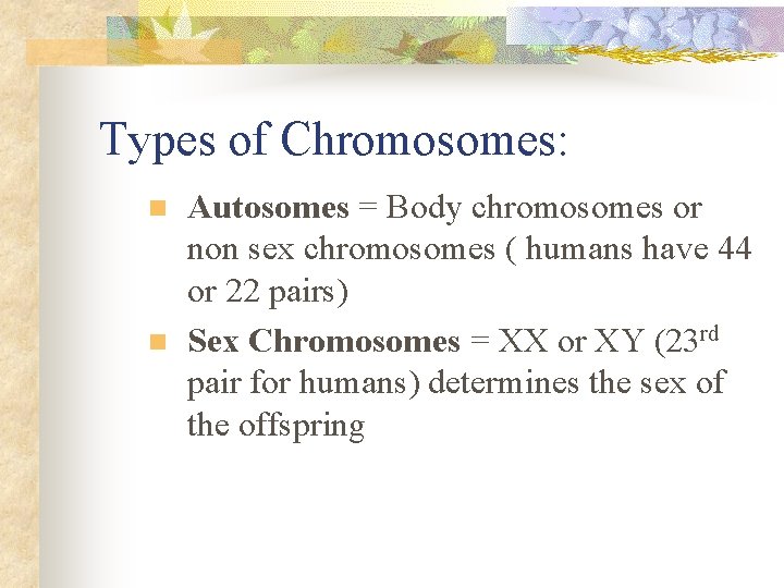 Types of Chromosomes: n n Autosomes = Body chromosomes or non sex chromosomes (