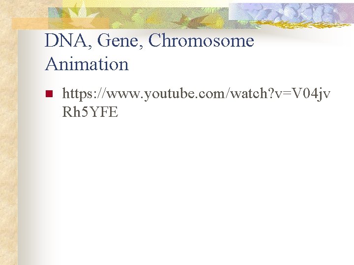 DNA, Gene, Chromosome Animation n https: //www. youtube. com/watch? v=V 04 jv Rh 5