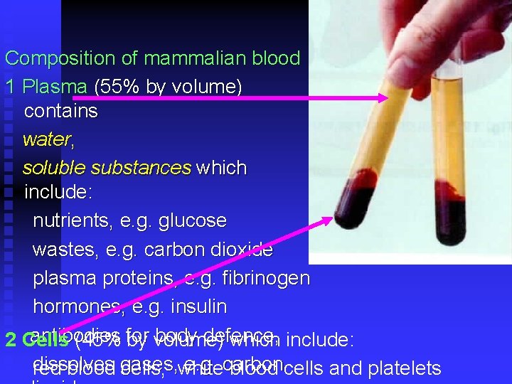 Composition of mammalian blood 1 Plasma (55% by volume) contains water, soluble substances which