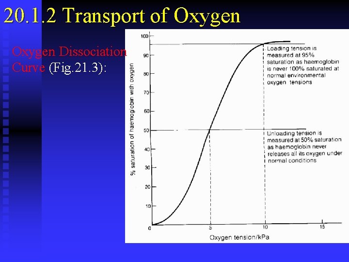 20. 1. 2 Transport of Oxygen Dissociation Curve (Fig. 21. 3): 