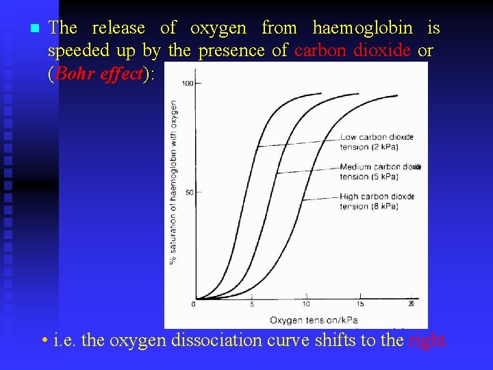 n The release of oxygen from haemoglobin is speeded up by the presence of