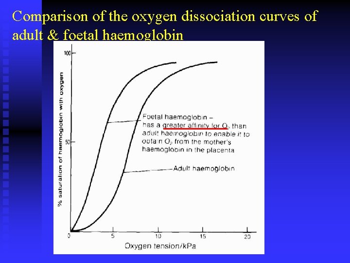 Comparison of the oxygen dissociation curves of adult & foetal haemoglobin 