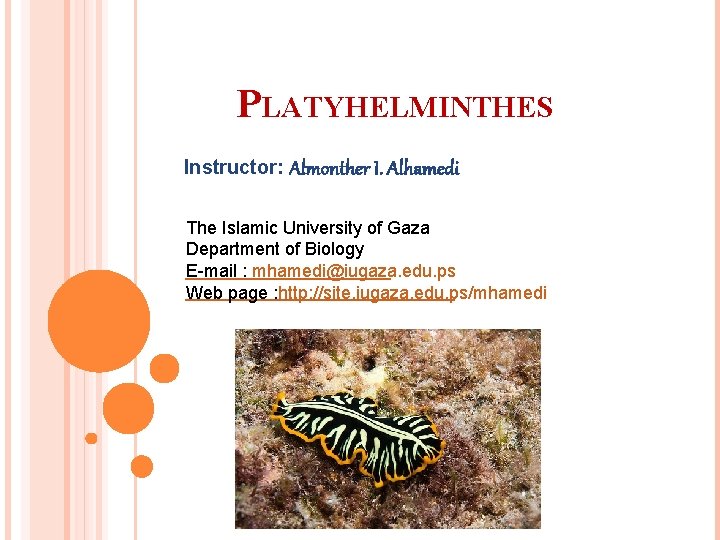 PLATYHELMINTHES Instructor: Almonther I. Alhamedi The Islamic University of Gaza Department of Biology E-mail
