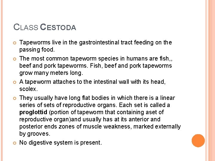 CLASS CESTODA Tapeworms live in the gastrointestinal tract feeding on the passing food. The