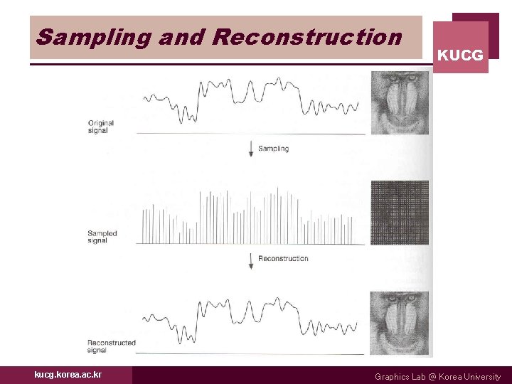 Sampling and Reconstruction kucg. korea. ac. kr KUCG Graphics Lab @ Korea University 