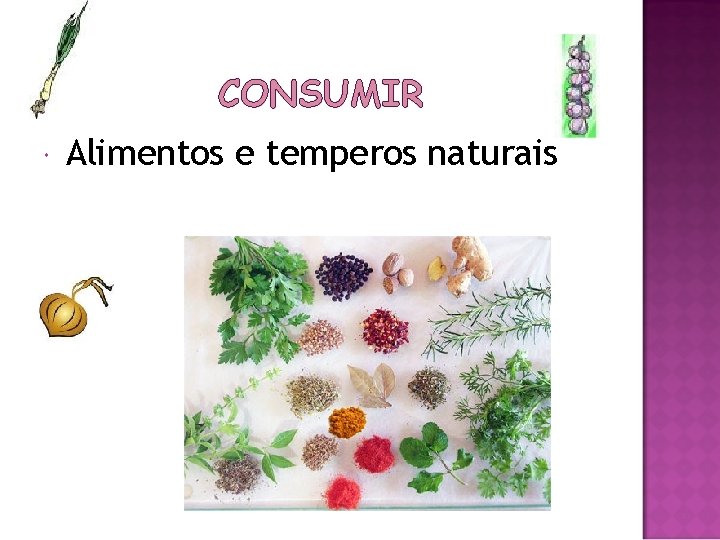 CONSUMIR Alimentos e temperos naturais 