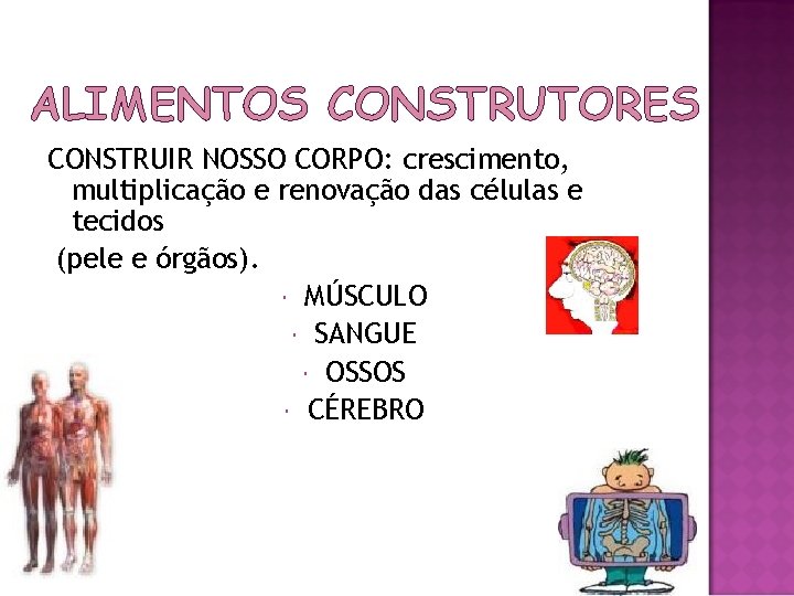 ALIMENTOS CONSTRUTORES CONSTRUIR NOSSO CORPO: crescimento, multiplicação e renovação das células e tecidos (pele