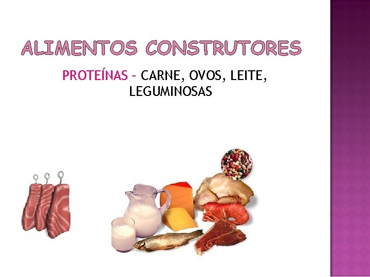 ALIMENTOS CONSTRUTORES PROTEÍNAS – CARNE, OVOS, LEITE, LEGUMINOSAS 