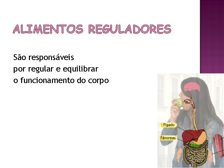 ALIMENTOS REGULADORES São responsáveis por regular e equilibrar o funcionamento do corpo 