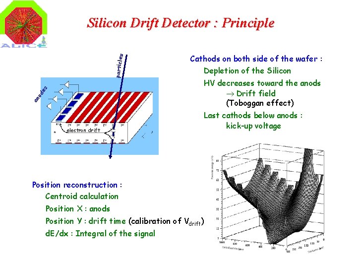 an od e s particle s Silicon Drift Detector : Principle electron drift Cathods