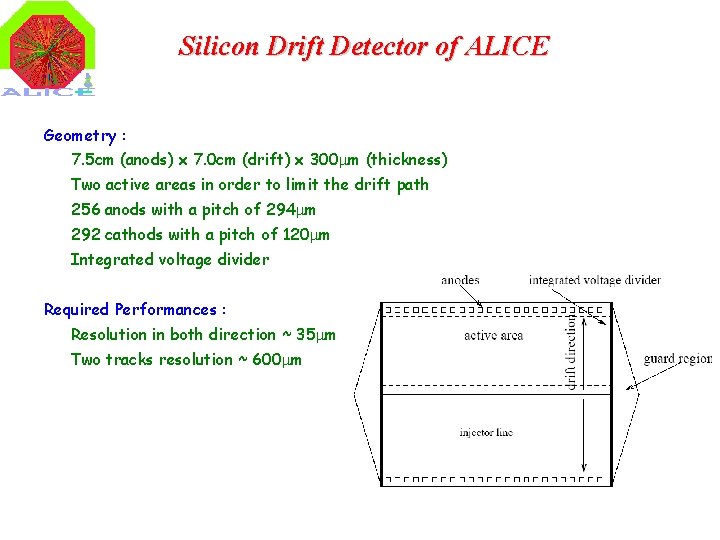 Silicon Drift Detector of ALICE Geometry : 7. 5 cm (anods) x 7. 0