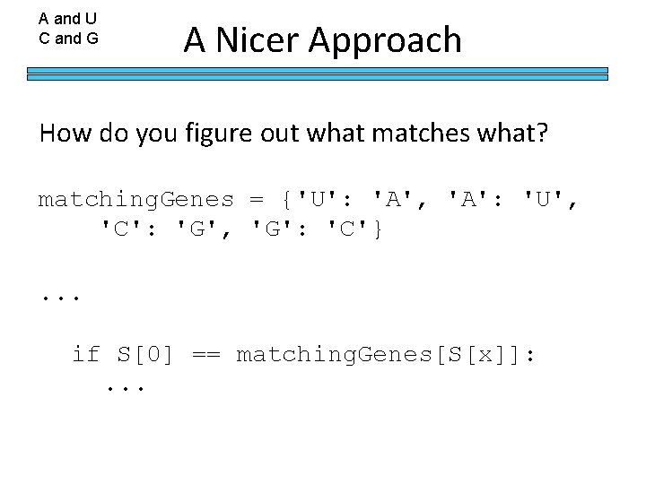 The Cs 5 Times Penguin Rescue Dunedin New