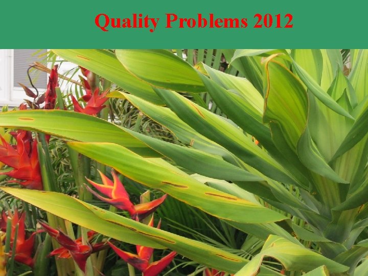 Quality Problems 2012 