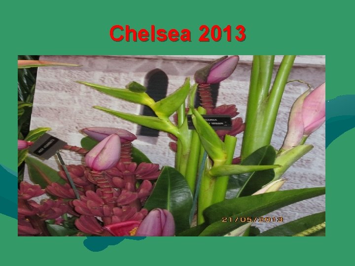 Chelsea 2013 