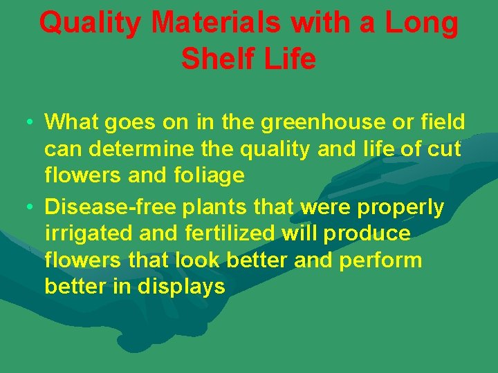 Quality Materials with a Long Shelf Life • What goes on in the greenhouse