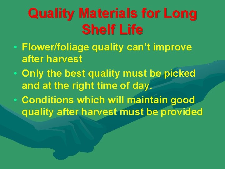 Quality Materials for Long Shelf Life • Flower/foliage quality can’t improve after harvest •