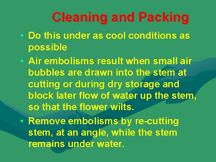 Cleaning and Packing • Do this under as cool conditions as possible • Air