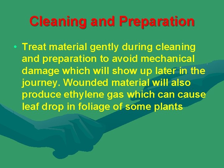 Cleaning and Preparation • Treat material gently during cleaning and preparation to avoid mechanical