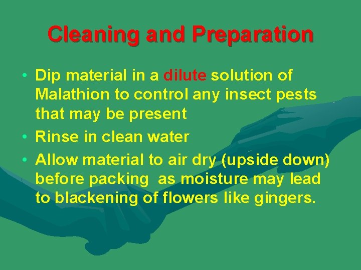 Cleaning and Preparation • Dip material in a dilute solution of Malathion to control