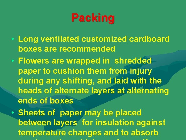 Packing • Long ventilated customized cardboard boxes are recommended • Flowers are wrapped in